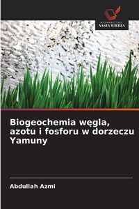 Produktbild: Biogeochemia w&iquest;gla, azotu i fosforu w dorzeczu Yamuny