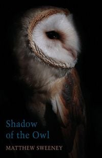Produktbild: Shadow of the Owl