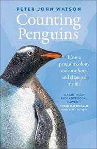 Produktbild: Counting Penguins