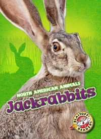 Produktbild: Jackrabbits