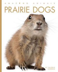 Produktbild: Prairie Dogs