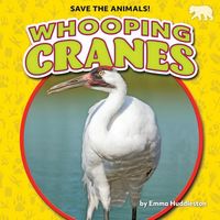 Produktbild: Whooping Cranes