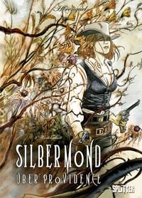 Produktbild: Silbermond &uuml;ber Providence