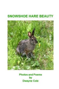 Produktbild: Snowshoe Hare Beauty