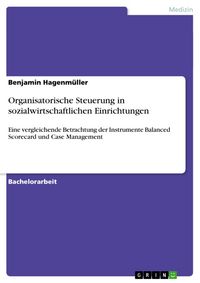 Produktbild: Organisatorische Steuerung in sozialwirtschaftlichen Einrichtungen