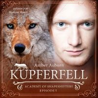Produktbild: Kupferfell, Episode 5 - Fantasy-Serie