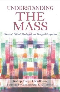 Produktbild: Understanding the Mass
