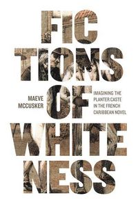 Produktbild: Fictions of Whiteness