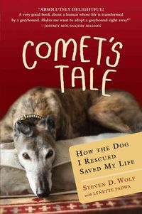 Produktbild: Comets Tale
