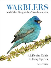 Produktbild: Warblers and Other Songbirds of North America