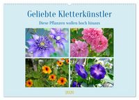 Produktbild: Geliebte Kletterk&uuml;nstler (Wandkalender 2026 DIN A2 quer), CALVENDO Monatskalender