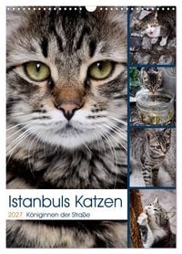 Produktbild: Istanbuls Katzen (Wandkalender 2027 DIN A3 hoch), CALVENDO Monatskalender