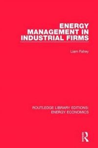Produktbild: Energy Management in Industrial Firms