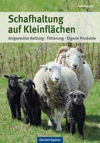 Bild vom Artikel Schafhaltung auf Kleinflächen vom Autor Axel Gutjahr