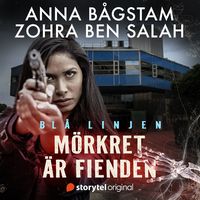Produktbild: M&ouml;rkret &auml;r fienden