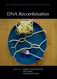 Produktbild: DNA Recombination