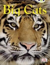Produktbild: BC NF Brown B/3B Big Cats