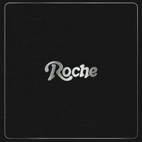 Produktbild: Back To The Groove - Roche Musique