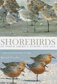 Bild vom Artikel Shorebirds of North America, Europe, and Asia: A Photographic Guide vom Autor Richard Chandler