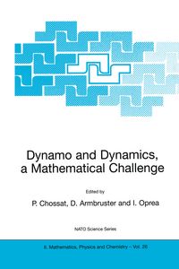 Produktbild: Dynamo and Dynamics, a Mathematical Challenge
