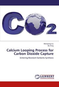 Produktbild: Calcium Looping Process for Carbon Dioxide Capture