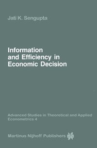 Produktbild: Information and Efficiency in Economic Decision