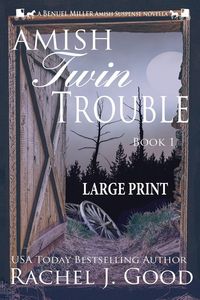 Produktbild: Twin Trouble - Large Print
