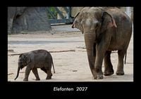 Produktbild: Elefanten 2027 Fotokalender DIN A3