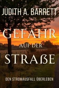Produktbild: Gefahr auf der Stra&szlig;e
