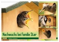 Produktbild: Nachwuchs bei Familie Star (Wandkalender 2026 DIN A3 quer), CALVENDO Monatskalender