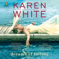 Produktbild: DREAMS OF FALLING          13D