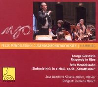 Bild vom Artikel Felix Mendelssohn Jugendsinfonieorchester Hamburg vom Autor Felix Mendelssohn Jugendsinfonieorchester Hamburg