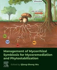 Produktbild: Management of Mycorrhizal Symbiosis for Mycoremediation and Phytostabilization