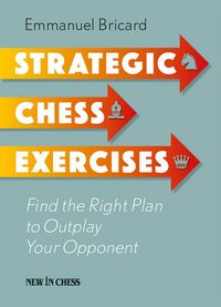Produktbild: Strategic Chess Exercises