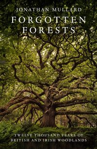 Produktbild: Forgotten Forests