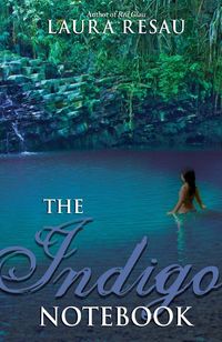 Produktbild: The Indigo Notebook