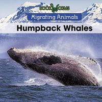 Produktbild: Humpback Whales
