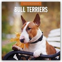 Produktbild: Bull Terriers &ndash; Bullterrier 2027 &ndash; 16-Monatskalender