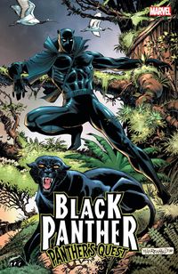 Produktbild: Mcgregor, D: Black Panther: Panther's Quest