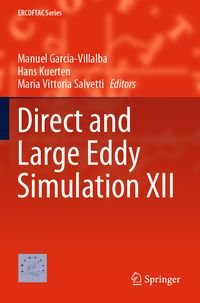 Produktbild: Direct and Large Eddy Simulation XII