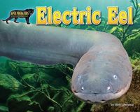 Produktbild: Electric Eel