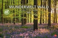 Produktbild Wunderwelt Wald 2027
