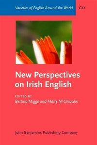 Produktbild: New Perspectives on Irish English