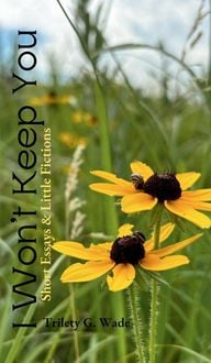Produktbild: I Won't Keep You