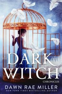 Produktbild: The Dark Witch Chronicles Boxset