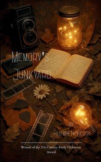 Produktbild: Memory's Junkyard The Light We Kept