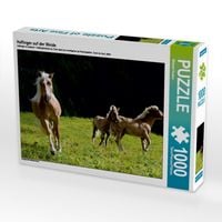 Produktbild: CALVENDO Puzzle Haflinger auf der Weide | 1000 Teile Lege-Gr&ouml;&szlig;e 64x48cm Foto-Puzzle f&uuml;r gl&uuml;ckliche Stunden
