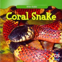 Produktbild: Coral Snake