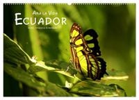 Produktbild: Ama la Vida Ecuador (Wandkalender 2026 DIN A2 quer), CALVENDO Monatskalender
