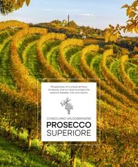 Produktbild: Prosecco Superiore